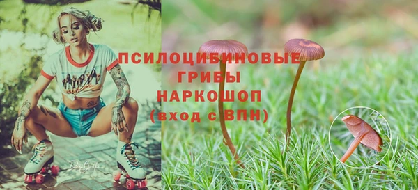 гашик Зерноград