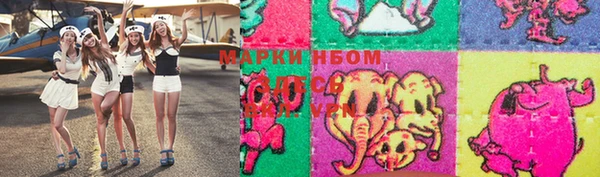 гашик Зерноград