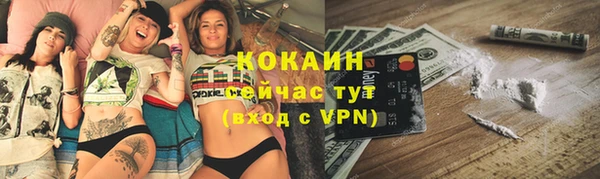 гашик Зерноград